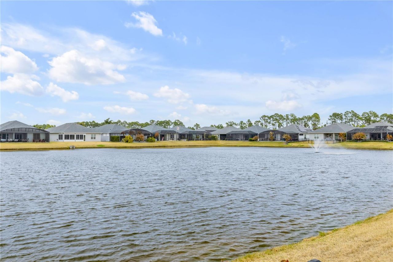 3004 Borassus Drive, New Smyrna Beach, FL 32168 Photo