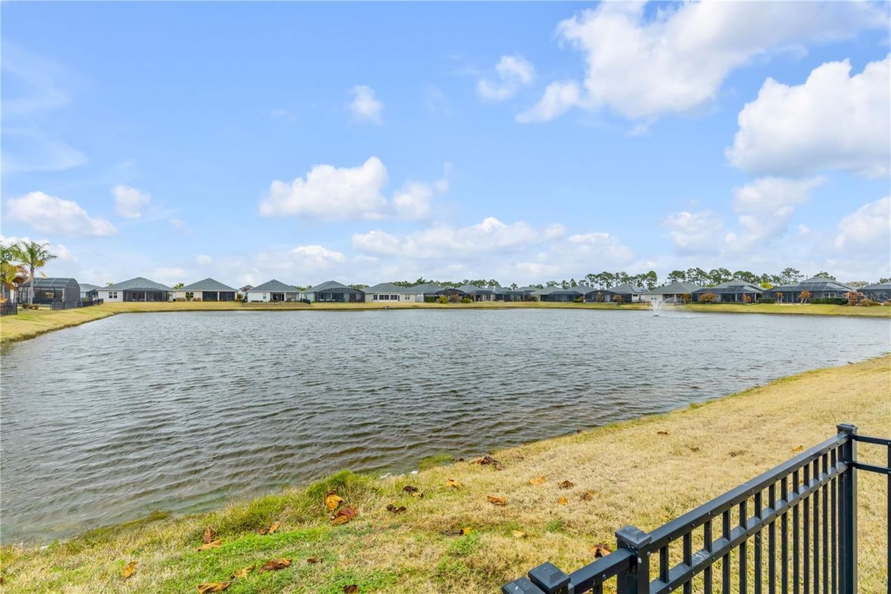 3004 Borassus Drive, New Smyrna Beach, FL 32168 Photo