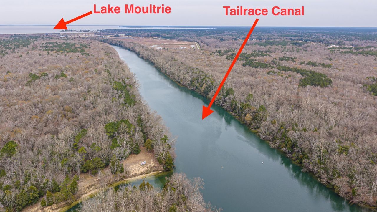 1304 Tailrace Drive Photo 4