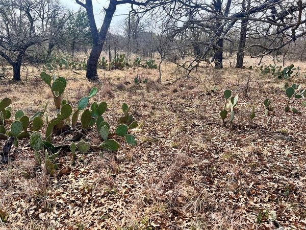 Lot 64 Janda Lane, Brownwood, TX 76801