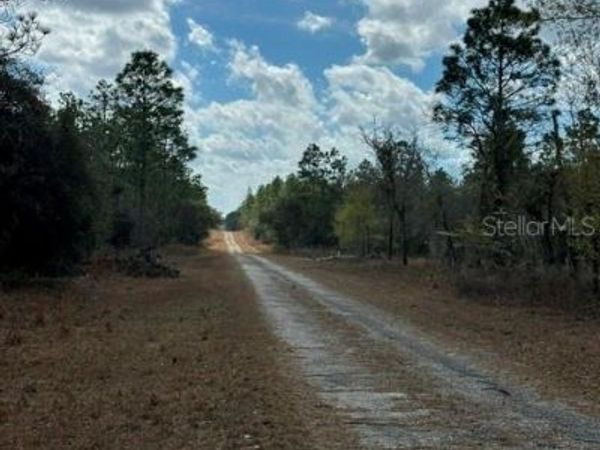 OCALA, FL 34481