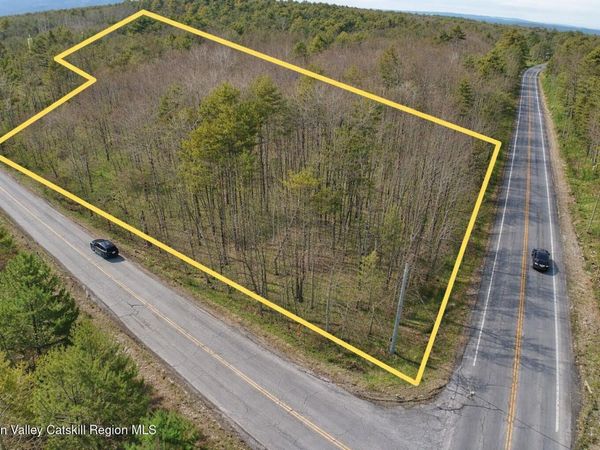 Tbd Silver Spur Road, Cairo, NY 12413
