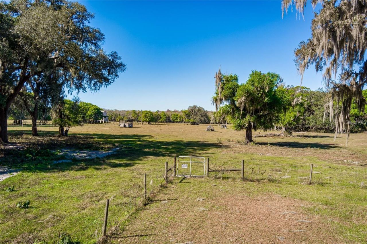 6305 Jim Davis Road, Parrish, FL 34219 Photo
