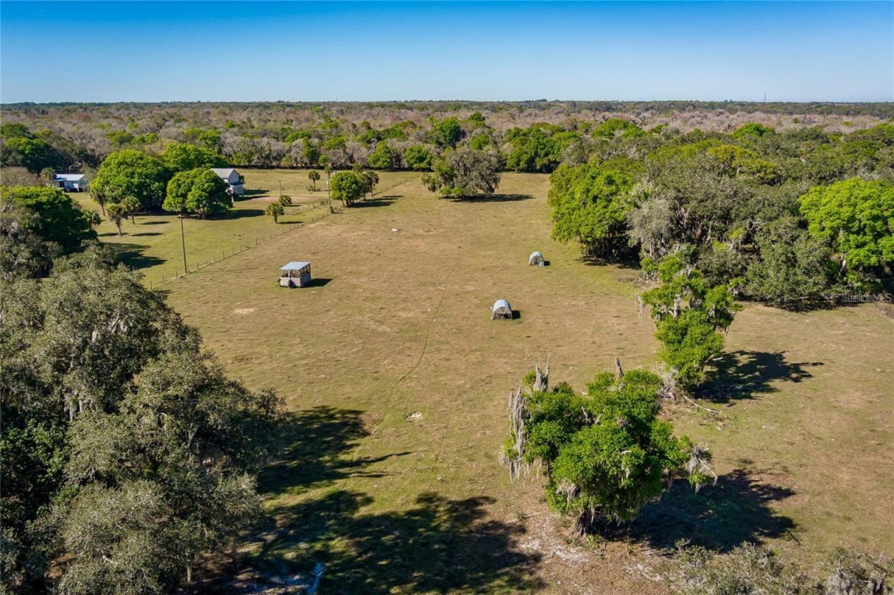 6305 Jim Davis Road, Parrish, FL 34219 Photo