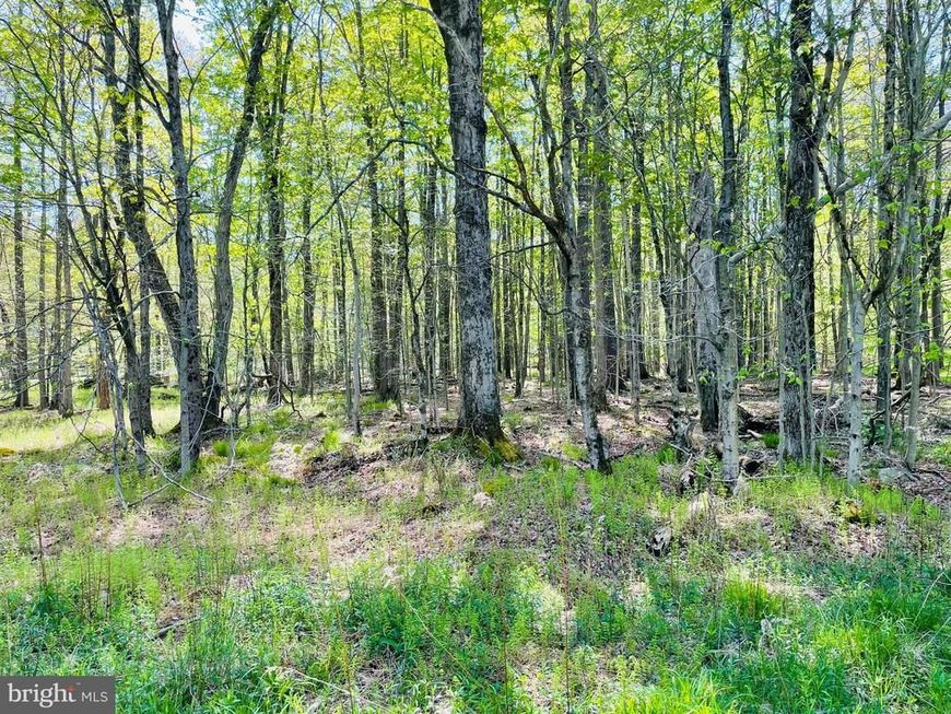 C476 Creek View Drive W, Gouldsboro, PA 18424 Main Photo