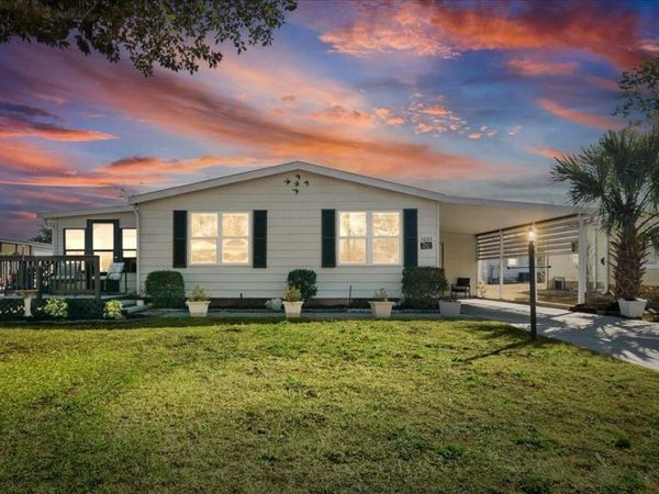 1003 MATTHEW AVENUE, LADY LAKE, FL 32159