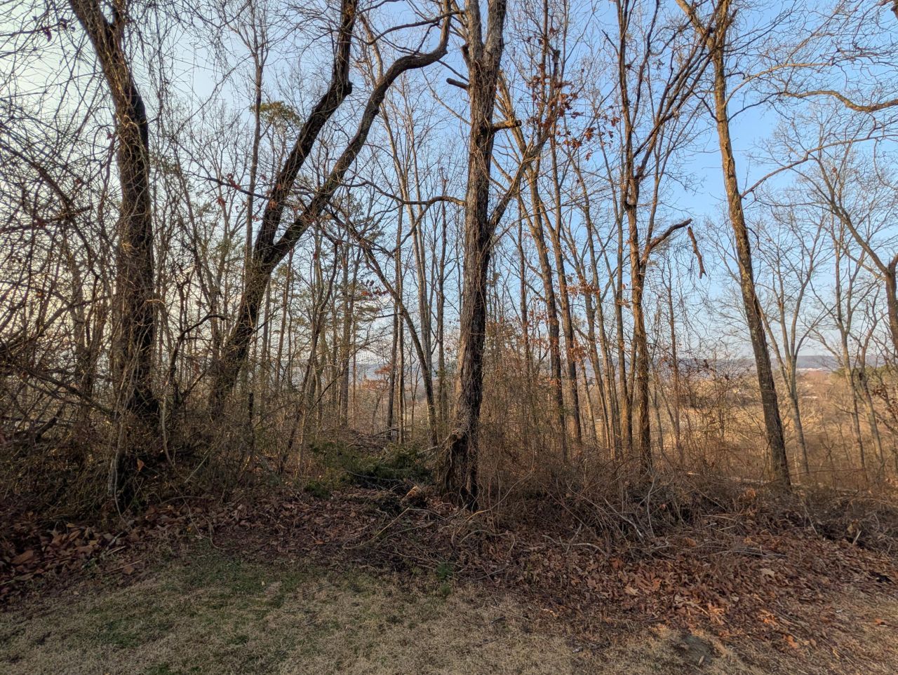 000 Pine Breeze Circle, Rockwood, TN 37854 Main Photo