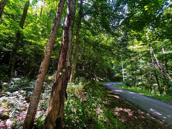 Tbd Leonard Long Rd, Renick, WV 24966