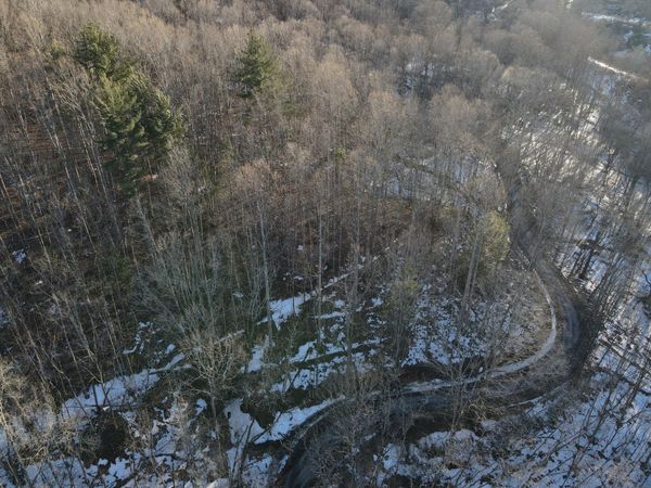 Tbd Leonard Long Rd, Renick, WV 24966