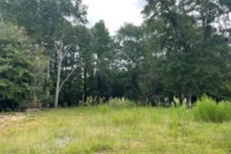 Lot C | N Craig Street photo 4