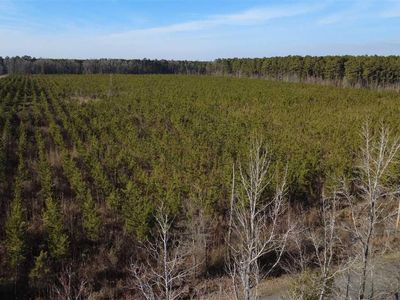 0 (TBD) Bay Catfish Rd., Latta, SC 29565