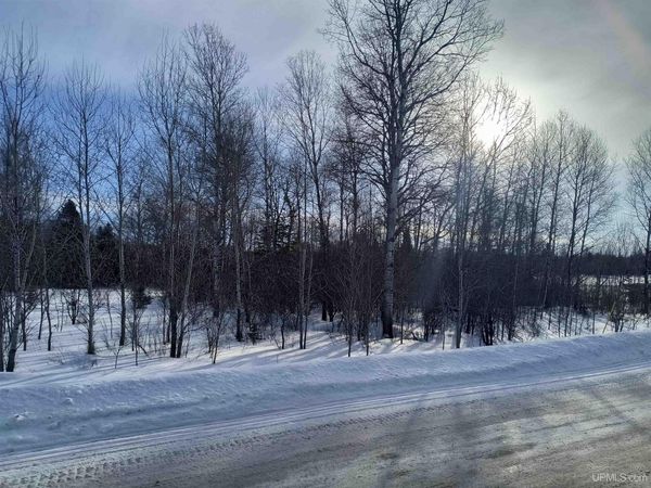 Off Bates Gaastra Road, Iron River, MI 49935