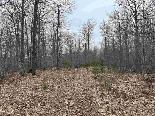 Near Krooks Drive, Negaunee Twp, MI 49866