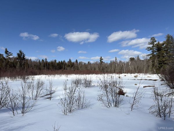 TBD 18 Road, Republic Twp, MI 49879