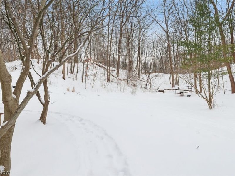 841 Springdale Street, Akron, OH 44310 Photo 32