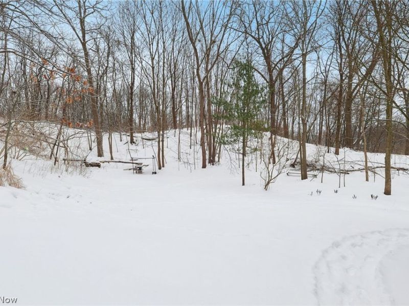 841 Springdale Street, Akron, OH 44310 Photo 33