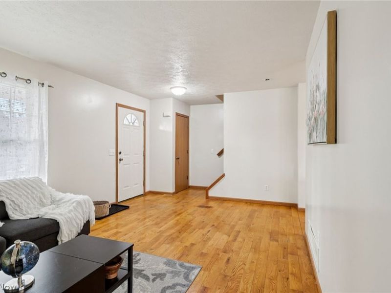 841 Springdale Street, Akron, OH 44310 Photo 4