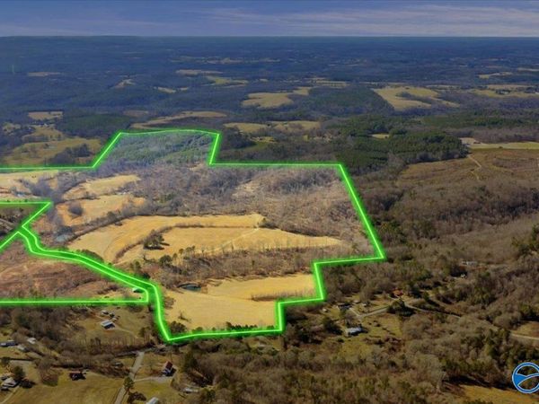 95 County Road 970, Logan, AL 35098