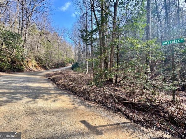 L53 Amy Creek Circle, Ellijay, GA 30540
