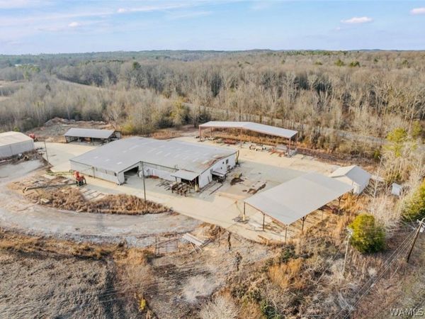 7533 Salem Rd , Gordo, AL 35466