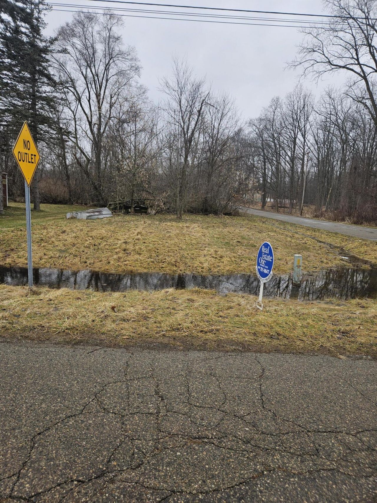 5901 Monroe Road, Olivet, MI 49076 Main Photo