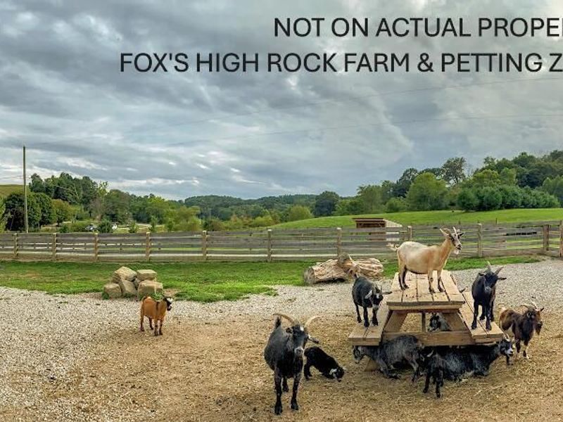 13500 Pleasant Valley Road, Rockbridge, OH 43149 Photo 41