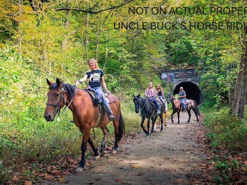 13500 Pleasant Valley Road, Rockbridge, OH 43149 Photo 46