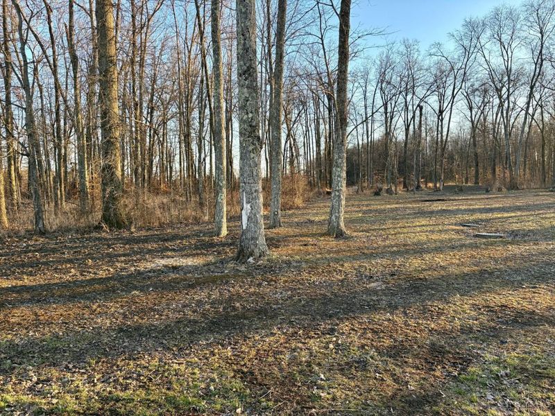 1738 Commissioners Way, Sterling Twp, OH 45154 Photo 26