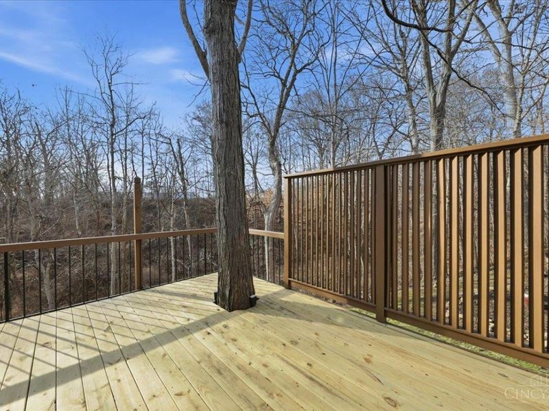 11 Spring Hill, Cincinnati, OH 45227 Photo 16