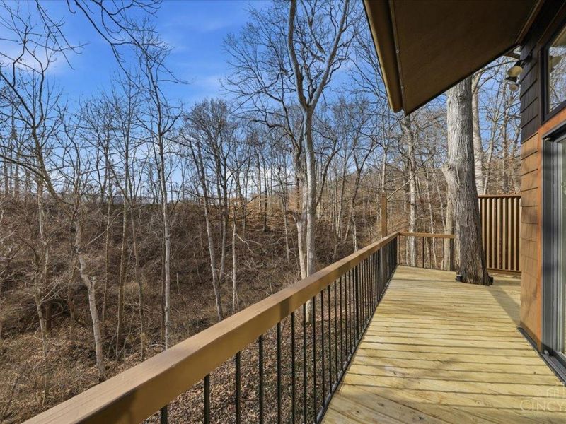 11 Spring Hill, Cincinnati, OH 45227 Photo 17