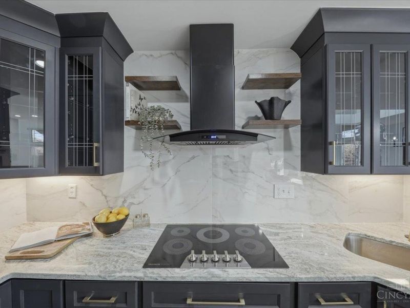 11 Spring Hill, Cincinnati, OH 45227 Photo 28