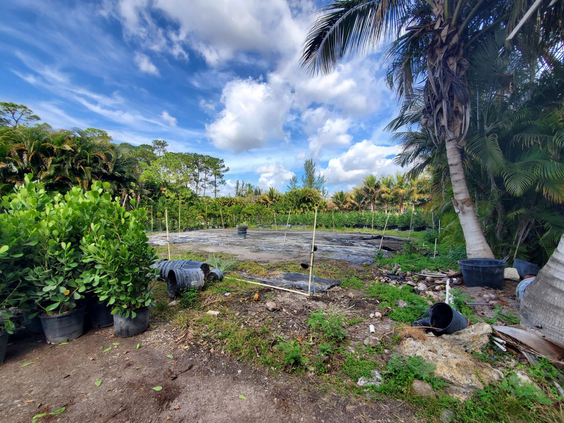10655 61 Street S, Wellington, FL 33449 Photo