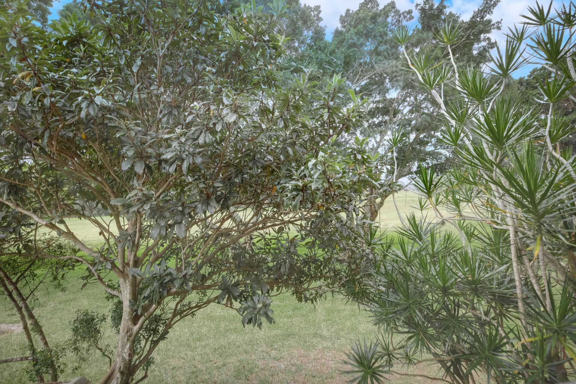 4801 Esedra Court, Unit 201, Lake Worth, FL 33467 Photo