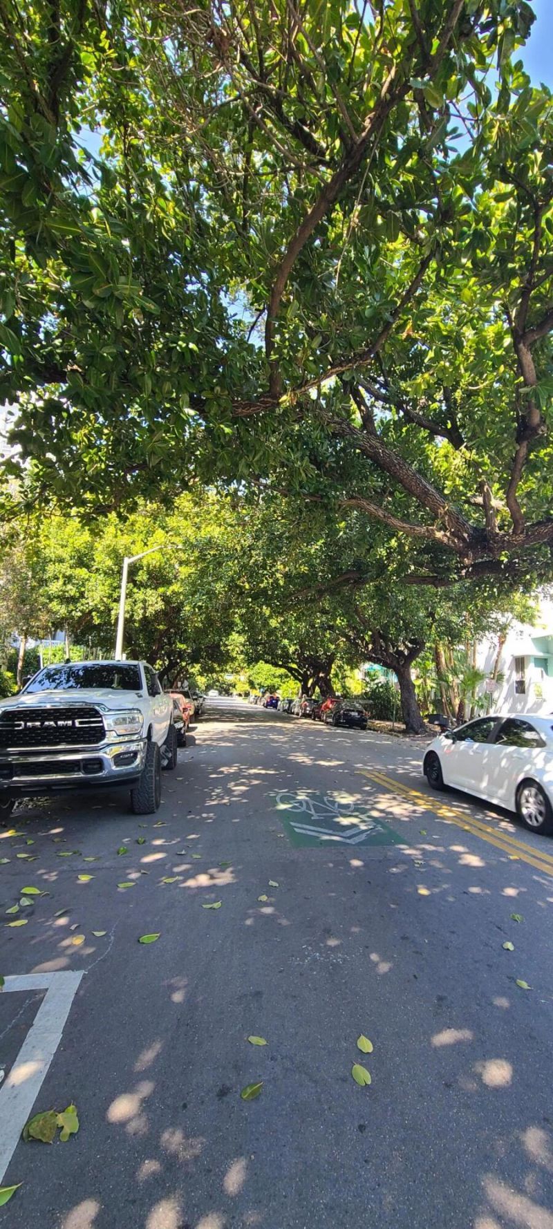 1000 Meridian Avenue, Unit 3, Miami Beach, FL 33139 Photo