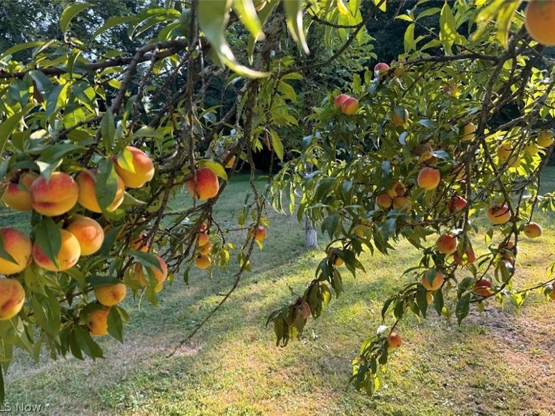 7374 Youngstown Pittsburgh Road, Poland, OH 44514 Photo 14