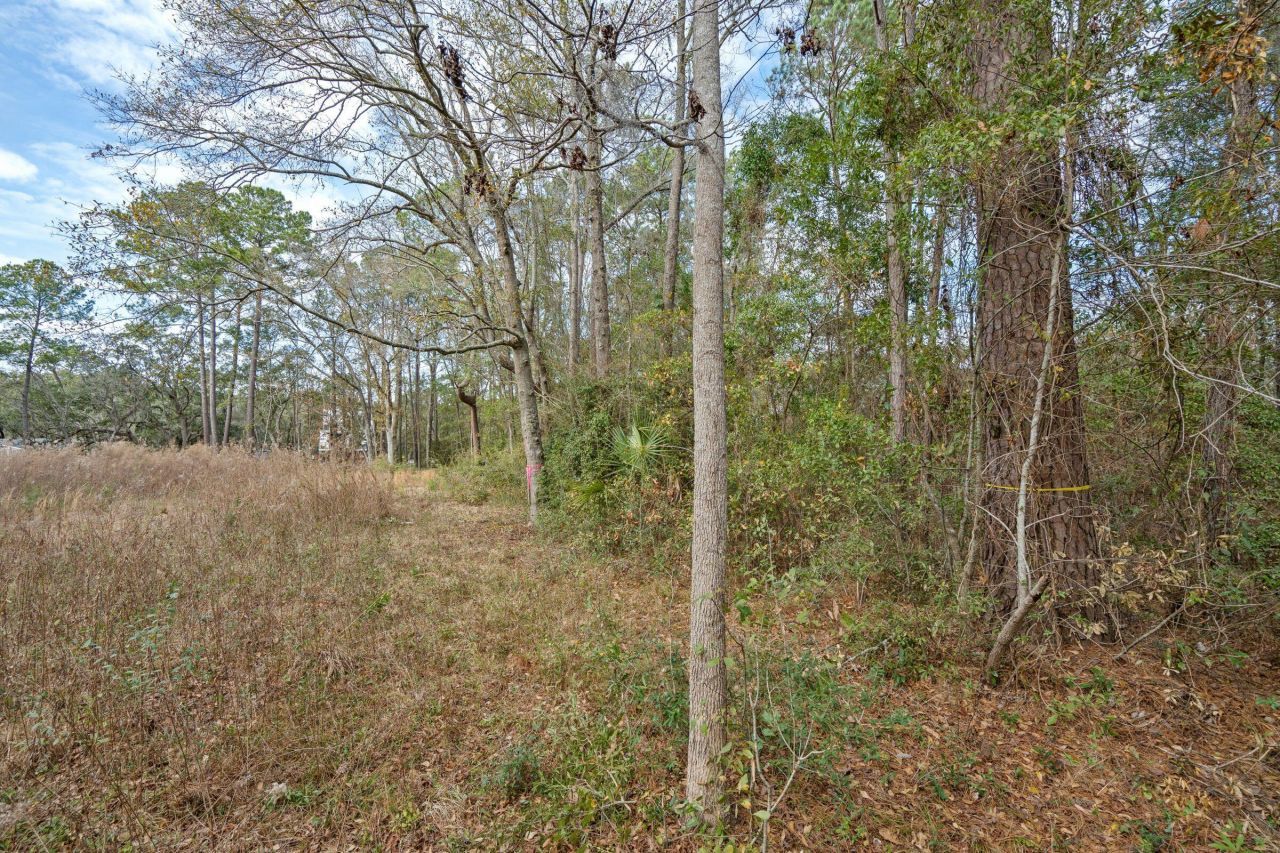 1944 Bradham Road Photo 11