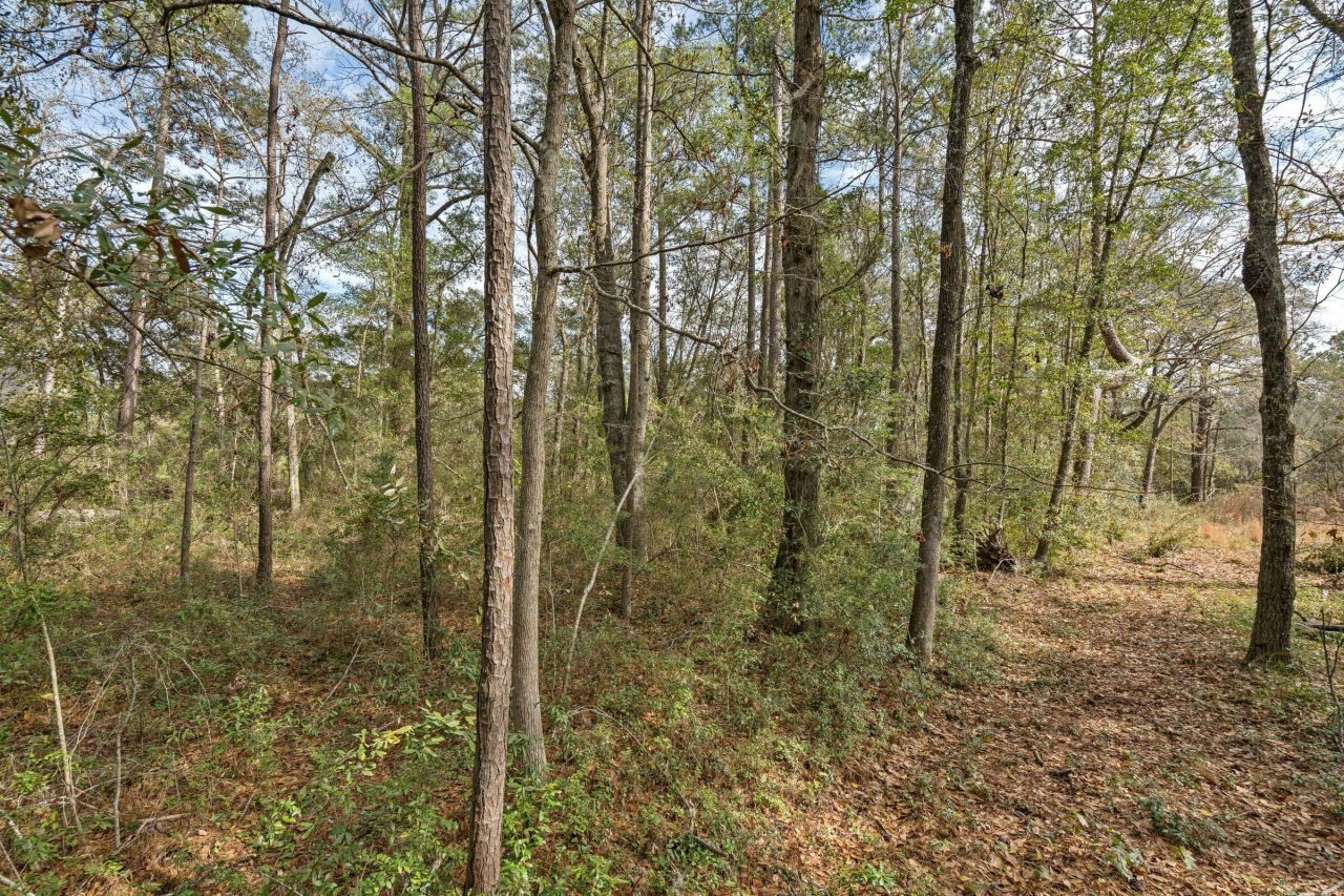 1944 Bradham Road Photo 12