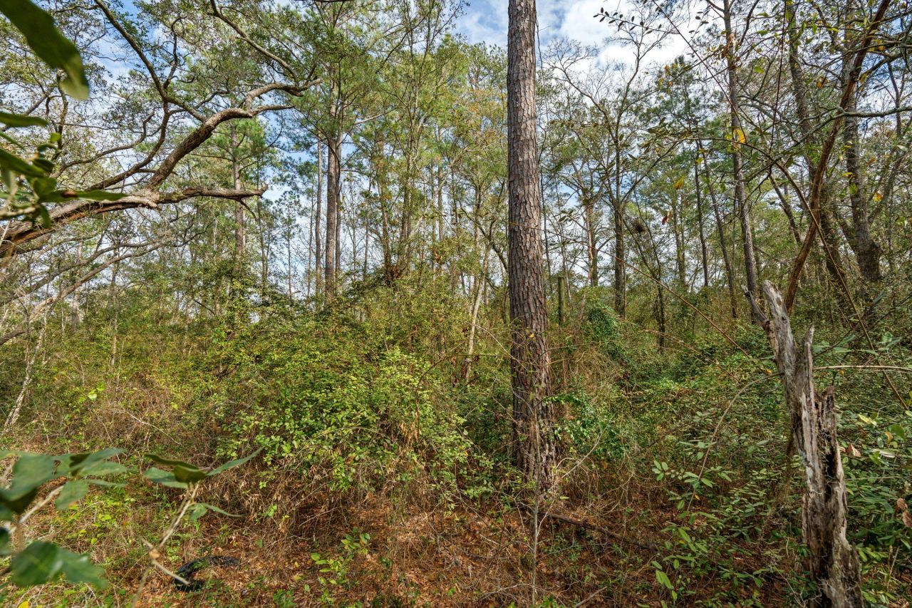 1944 Bradham Road Photo 13