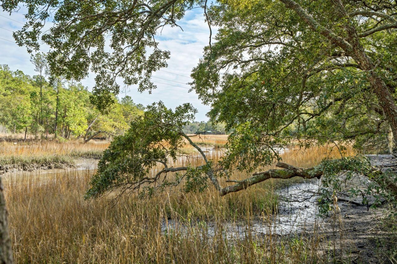 1944 Bradham Road Photo 5