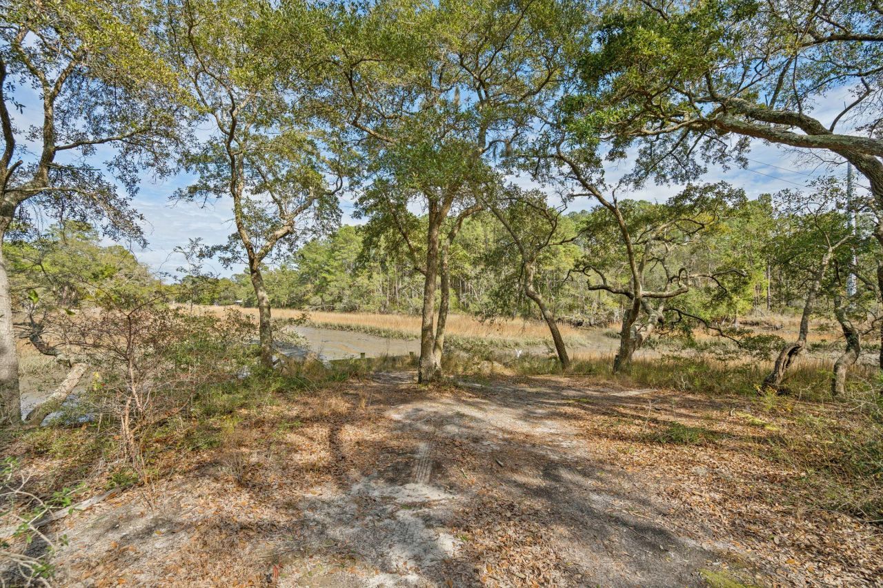 1944 Bradham Road Photo 7