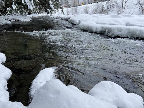 0 Fall Brook Road, Unit #5, Wheelock, VT 05851