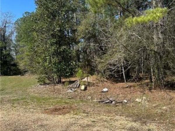 12436 DUSTY Lane, Tickfaw, LA 70466