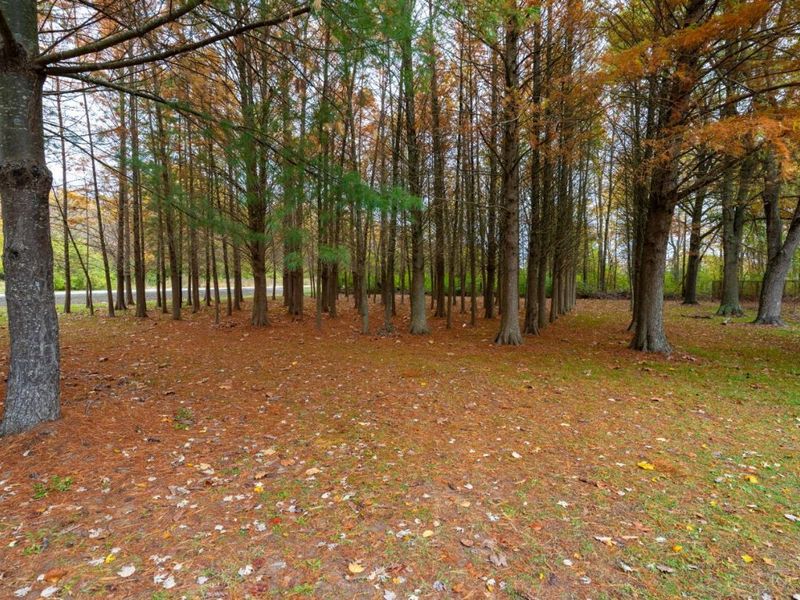 2914 US-50, Fayetteville, OH 45118 Photo 22