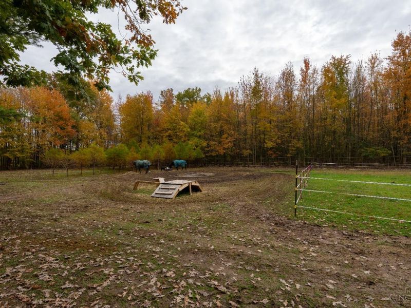 2914 US-50, Fayetteville, OH 45118 Photo 30