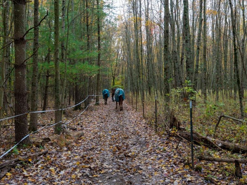 2914 US-50, Fayetteville, OH 45118 Photo 44