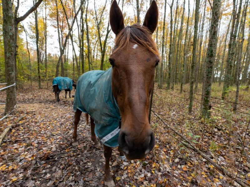 2914 US-50, Fayetteville, OH 45118 Photo 45