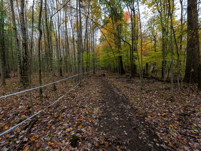 2914 US-50, Fayetteville, OH 45118 Photo 46