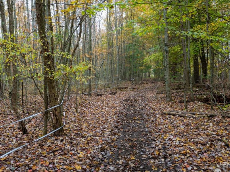 2914 US-50, Fayetteville, OH 45118 Photo 48