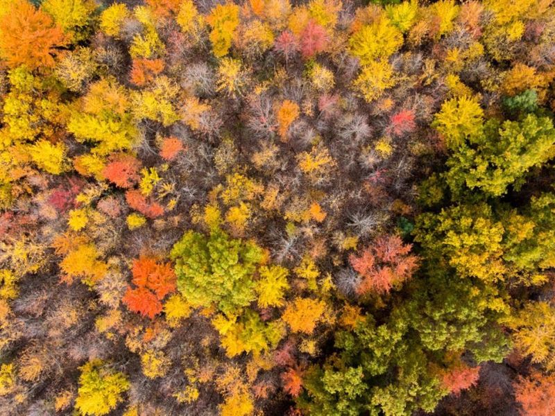 2914 US-50, Fayetteville, OH 45118 Photo 50