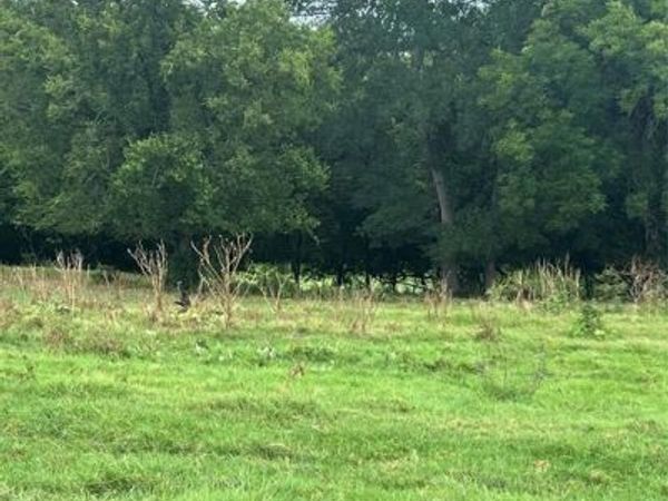 TBD Abel Lane, Boyd, TX 76023